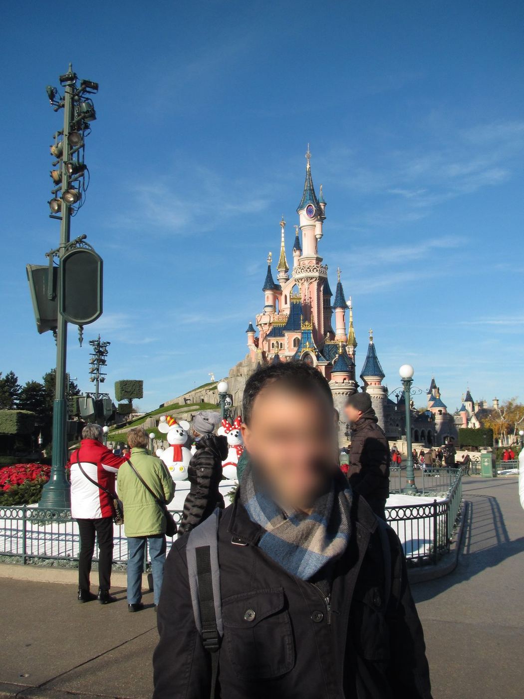el castillo en Disneyland Paris®, 2013