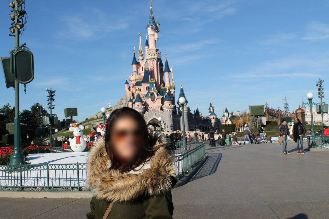 el castillo en Disneyland Paris®, 2013
