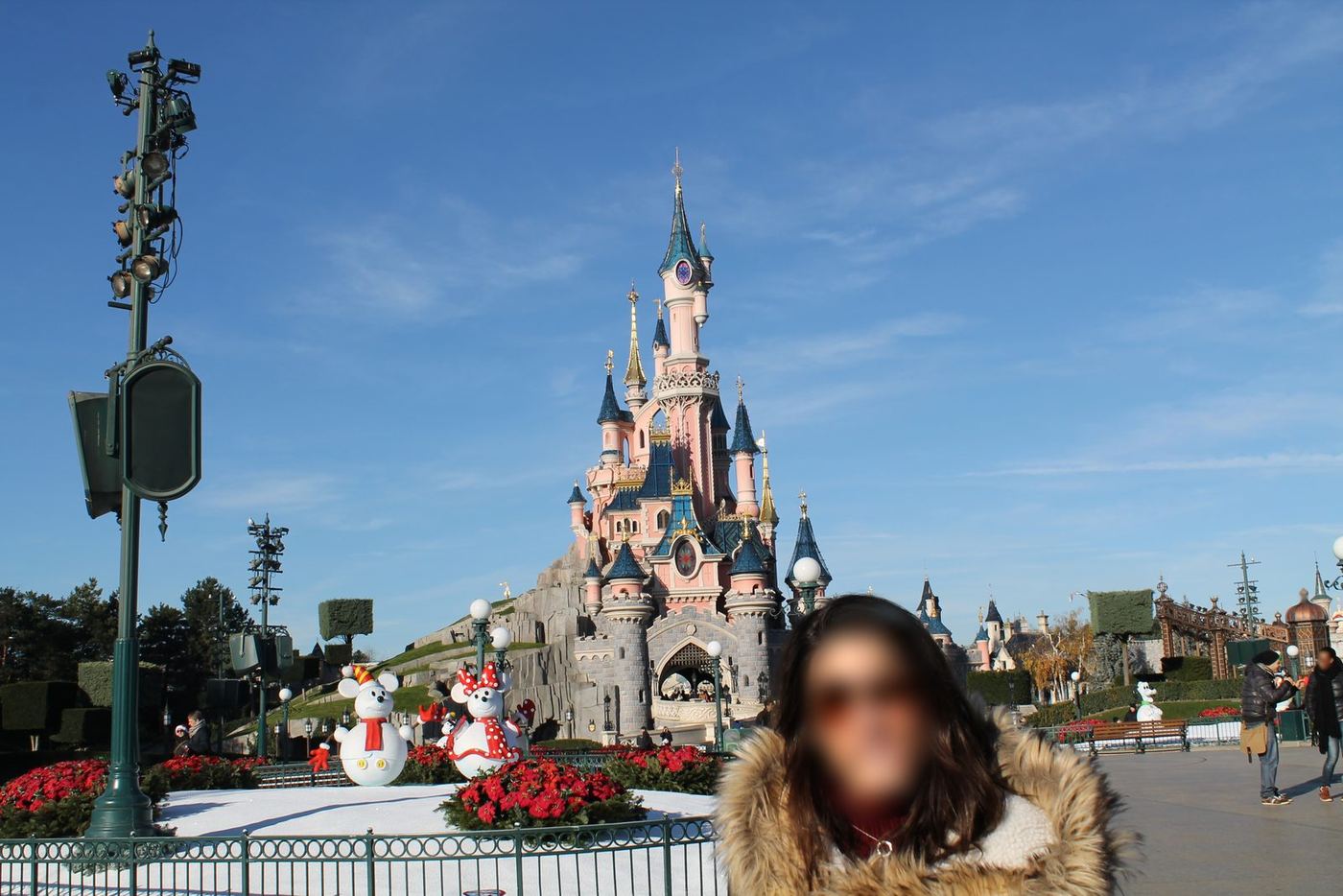 el castillo en Disneyland Paris®, 2013