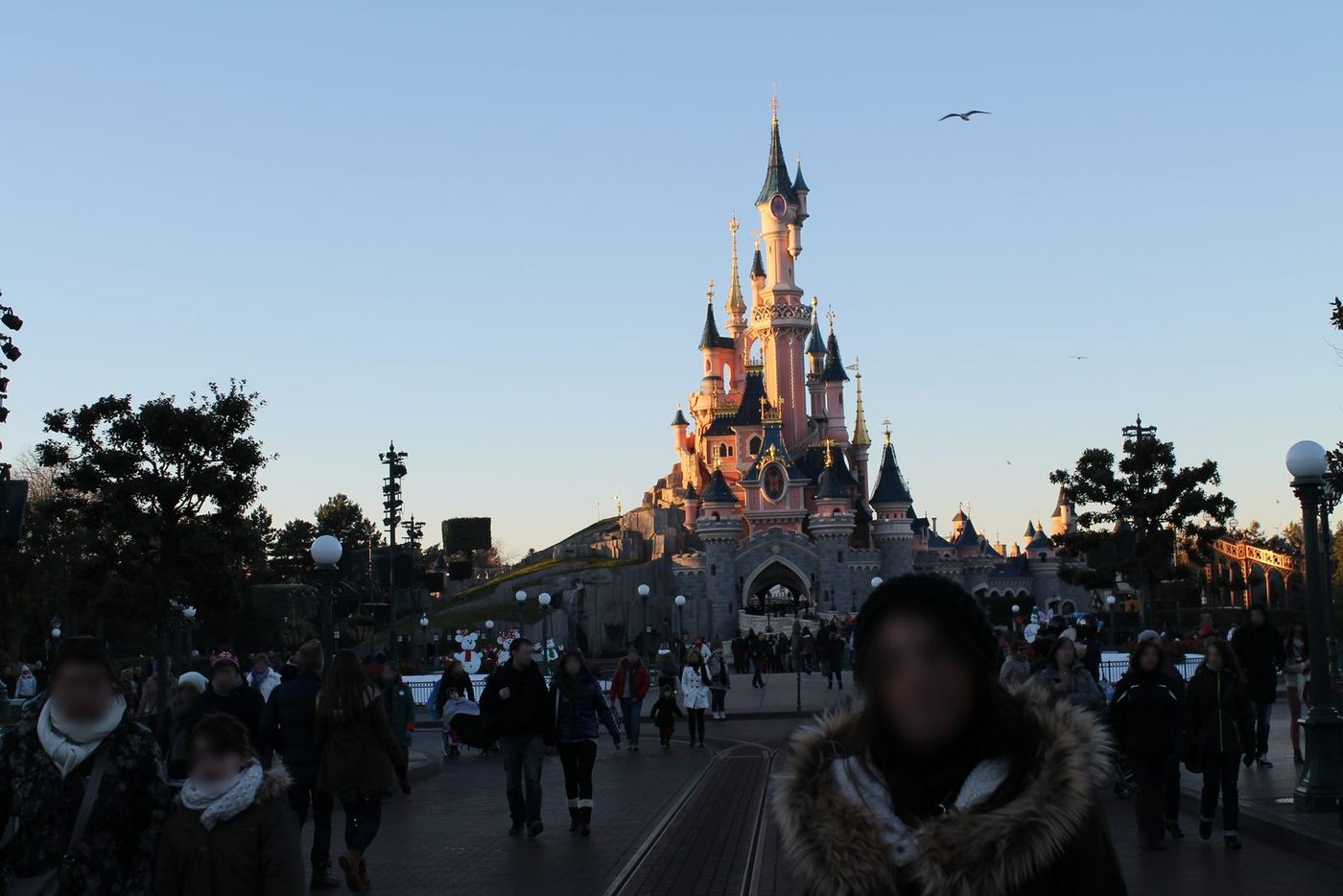el castillo en Disneyland Paris®, 2013