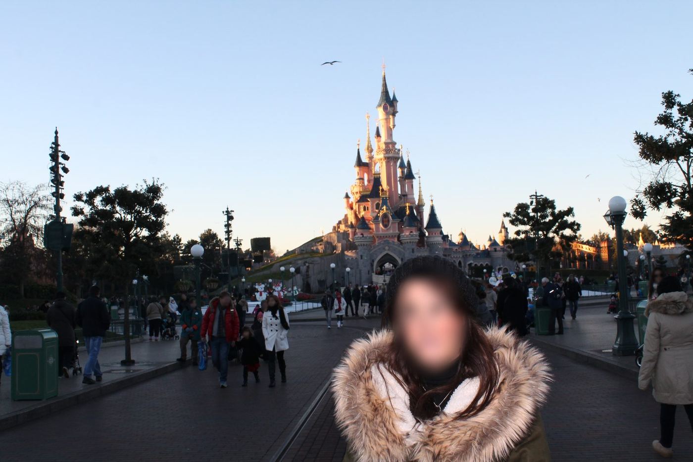 el castillo en Disneyland Paris®, 2013