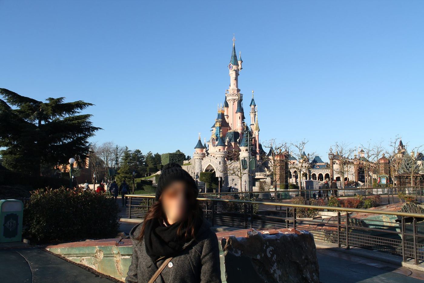 el castillo en Disneyland Paris®, 2013