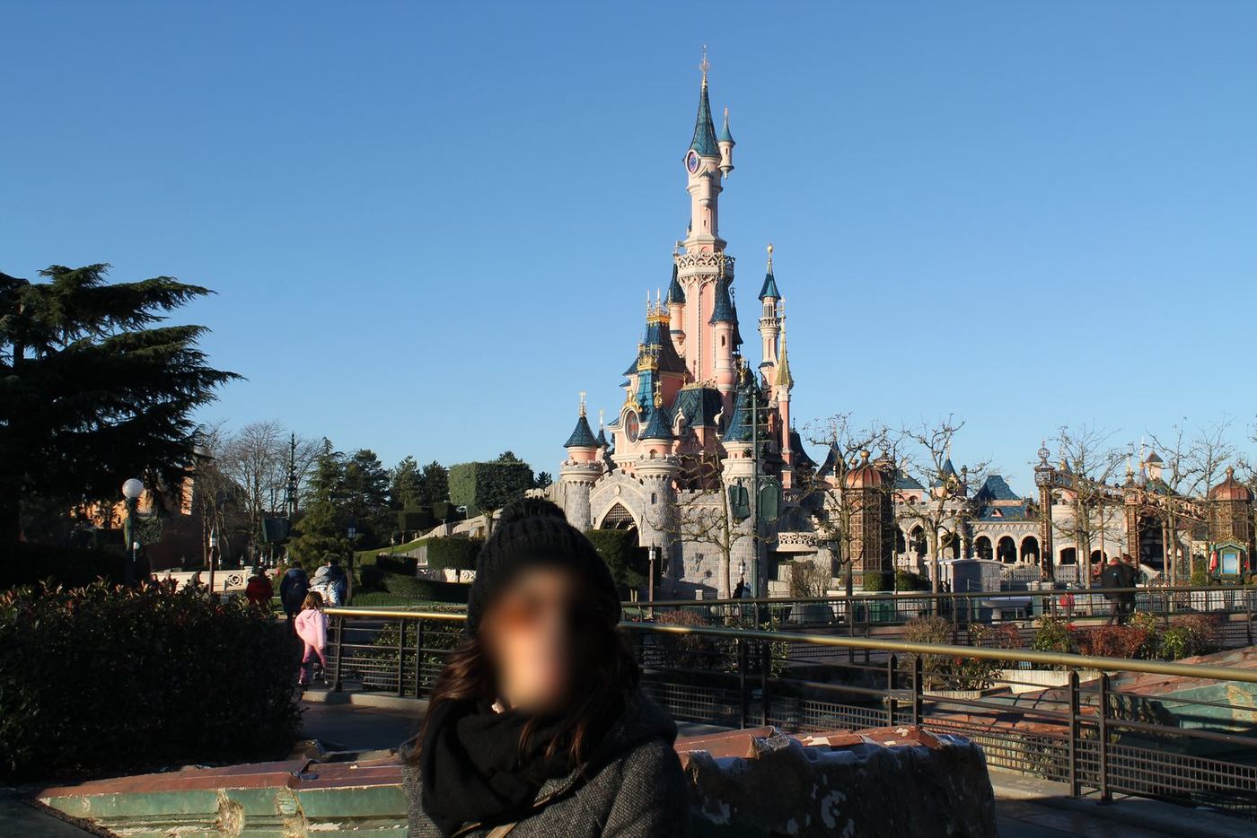 el castillo en Disneyland Paris®, 2013